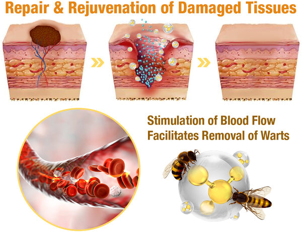 💥BBOJI™ 7-Day Multi-Effect All-in-One Skincare Cream (👨‍⚕️AAD Recommended)